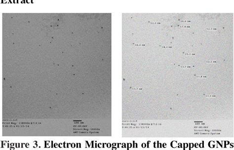 Figure From Cytotoxic Activity Of Biosynthesized Gold Nanoparticles