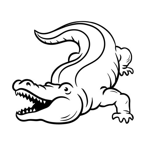 Premium Vector | Crocodile with open mouth