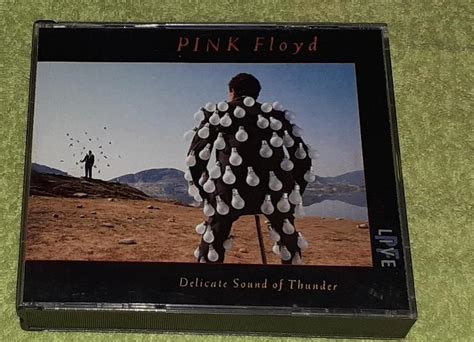 Cd Pink Floyd Delicate Sound Of Thunder Xcd Aukro