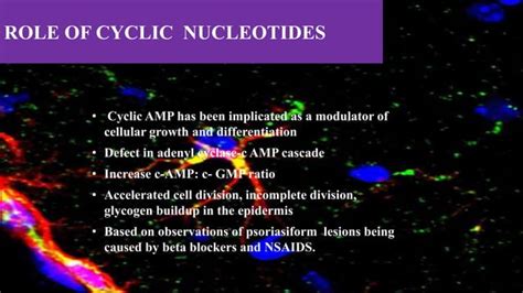 Recent Advances In The Pathophysiology Of Psoriasis Ppt