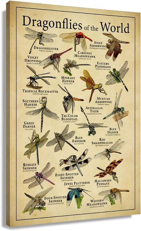 Asdg12s The Dragonfly Decor Posters Aesthetic Garden Art Giclee Canvas