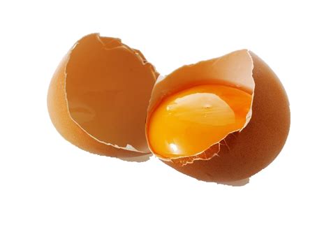 Egg Icon - Broken eggs png download - 800*600 - Free Transparent Egg png Download. - Clip Art ...