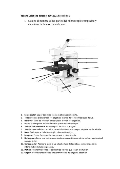 Practica N 2 Manejo De Microscopio Compuesto Y Usos Practica N Mobile