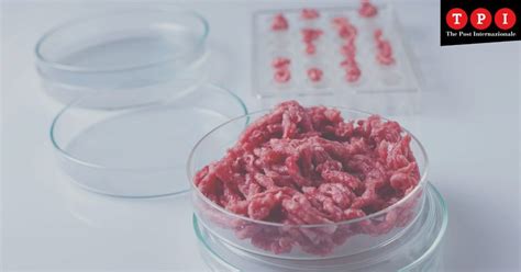 Cibo Del Futuro Quello Che Non Sapete Sulla Carne Sintetica