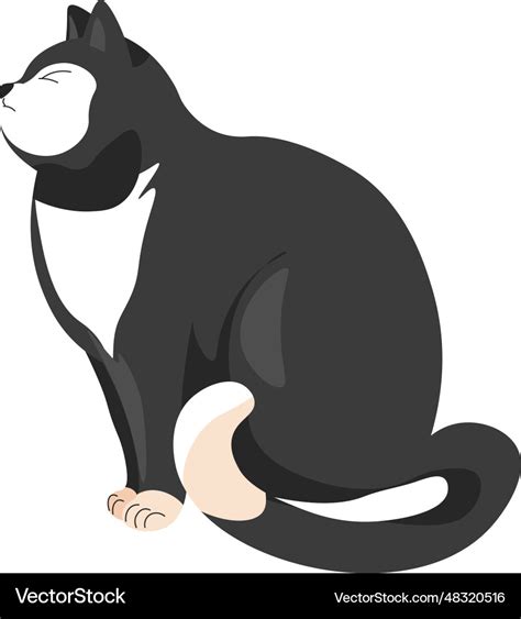 Cat portrait kitty character profile of kitten Vector Image