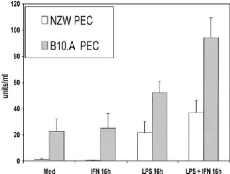 Figure From Polymorphism In The Untranslated Region Of Tnf Mrna