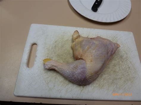 Bio156 Chicken Leg Dissection