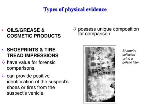 Physical Evidence Example Forensic Science