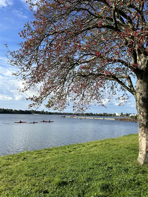 Einladung Zum Laternenlauf Tsv Ganderkesee E V