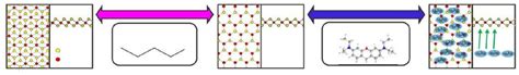 Tmd Engineering Doping And Alloying A Doping Strategies Of Tmds