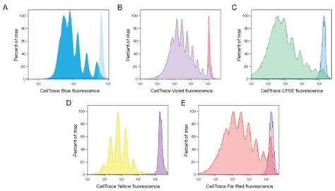 Celltrace Reagents For Cell Proliferation Thermo Fisher Scientific