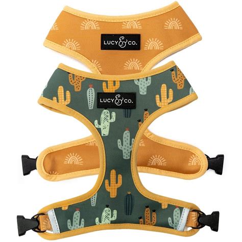 The Looking Sharp Dog Harness – Pixie Sticks Dog Boutique