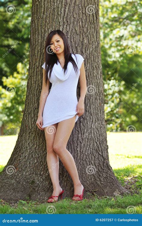 Oriental Model Stock Photos Free Royalty Free Stock Photos