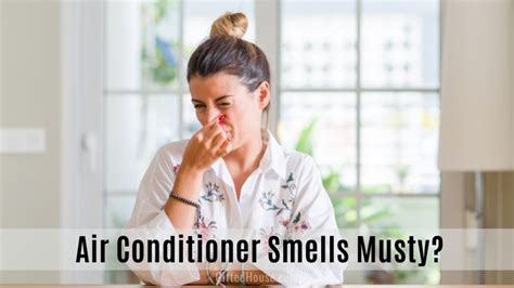 Air Conditioner Smells Musty Heres How You Fix It