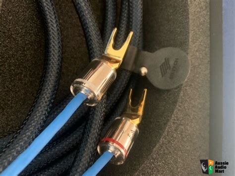 Siltech Classic Legend 380L G9 Speaker Cable 2 5M Photo 4478278