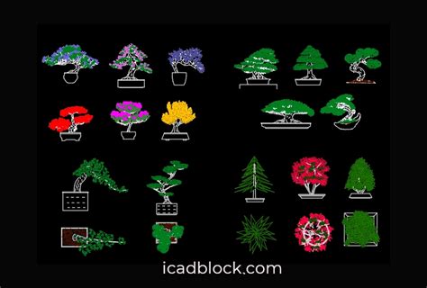 Raccolta Di Blocchi CAD Bonsai In DWG AutoCAD ICADBLOCK