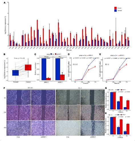 The Level Of Birc Expression In Pca Tissues And Its Biological