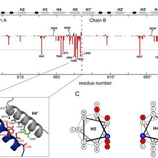 Thermofluor Assay For Investigating The Stability Of Wild Type And