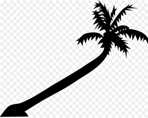 Arecaceae Di Cocco Foglia Clip Art Cocco Scaricare Png Disegno Png