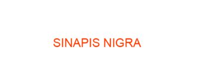 SINAPIS NIGRA Homeopathic Medicine Uses Symptoms Treatment Materia