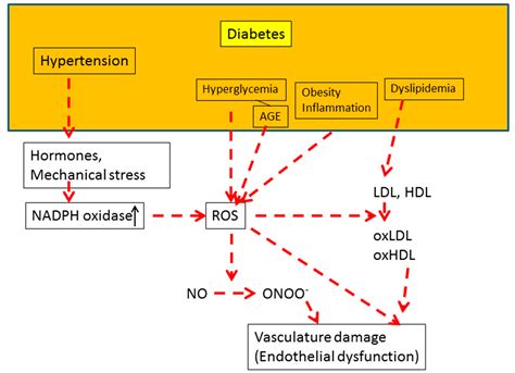 Antioxidants Free Full Text Measurement And Clinical Significance