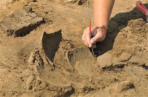 Archäologen Auf den Spuren der Vergangenheit