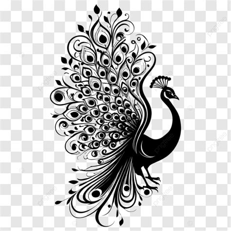 Peacock Logo Vector Design Peacock Vector Art Peacock Black Vector