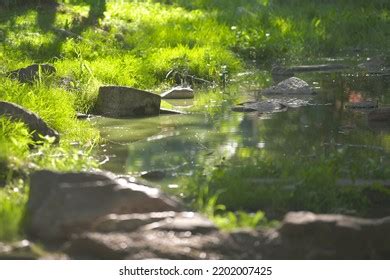 8,728 Small River Dam Images, Stock Photos & Vectors | Shutterstock