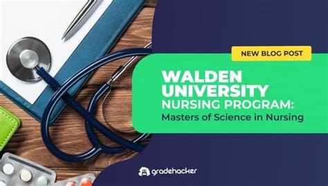 Walden University MSN Program | Everything You Need To Know