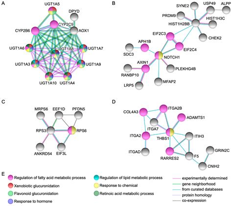 Ijms Free Full Text Bioinformatic Analysis Of Gene Variants From