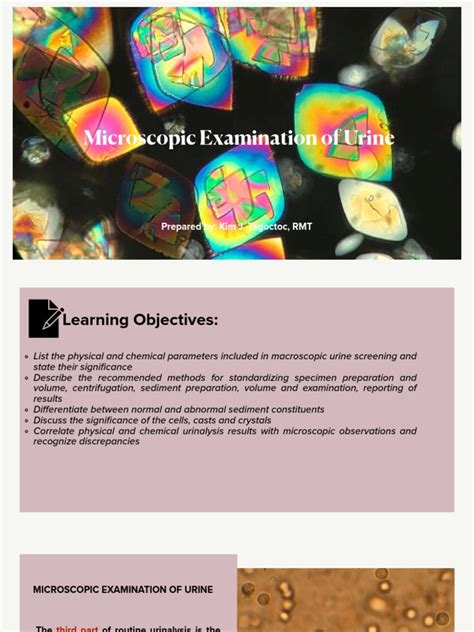 Microscopic Examination of Urine Compressed | PDF | White Blood Cell ...