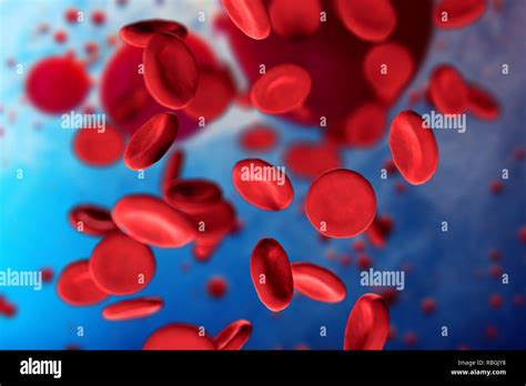 D Illustration Of Red Blood Cells Erythrocytes Close Up Under A