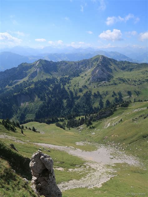 Im Zustieg Zur Gemsflue Fotos Hikr Org