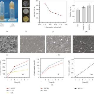 In Vitro Bioactivity Of Composite Hydrogel Extracts A In Vitro HUVEC