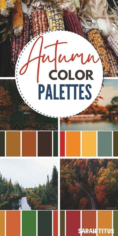 Color Palettes Navy Color Palette Fall Color Palette Burgundy