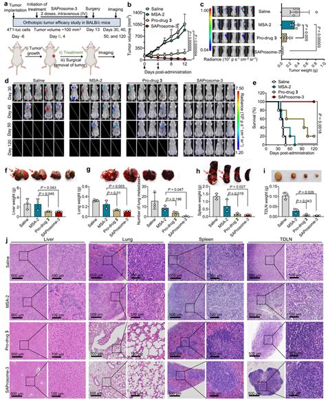 Saprosome Effectively Inhibited Tumor Metastasis And Recurrence After