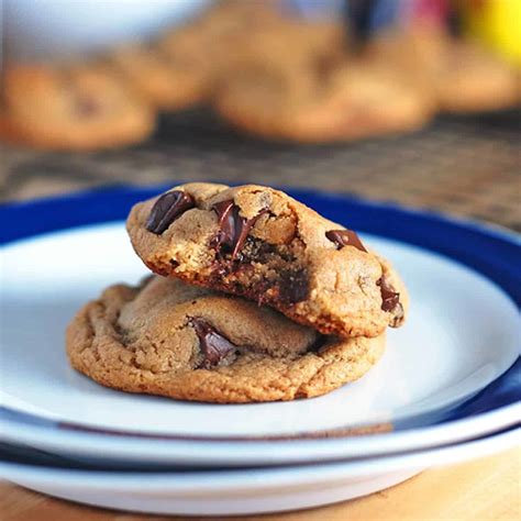 Malted Double Chocolate Chip Cookies Recipe Pinch Of Yum