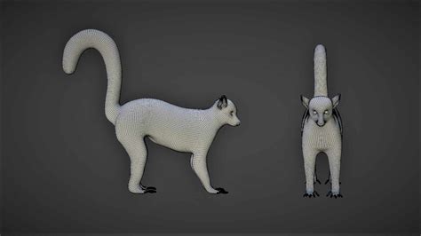 Lemur 3d Model Rigged And Low Poly 3d Model Team 3d Yard