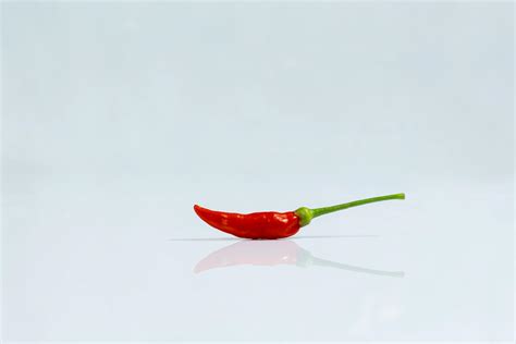 dried chili peppers · Free Stock Photo