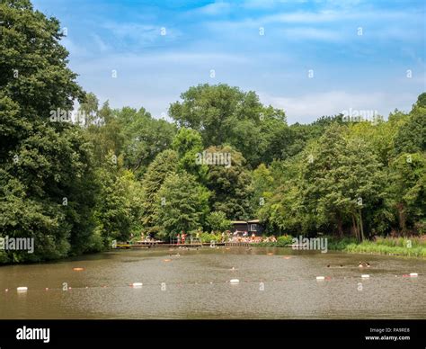 Hampstead heath ponds swimming hi-res stock photography and images - Alamy