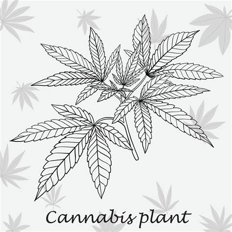 Simplicity cannabis plant freehand drawing flat design. 13444918 Vector ...