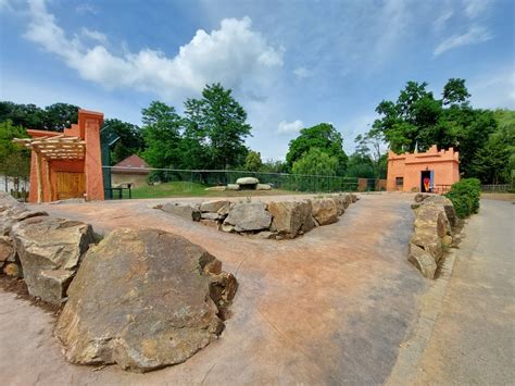 Lion Exhibit Reconstruction Central Viewing Platform Zoochat