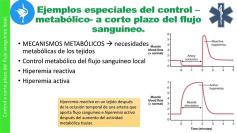 Capitulo Control Local Y Humoral Del Flujo Sangu Neo Por Los