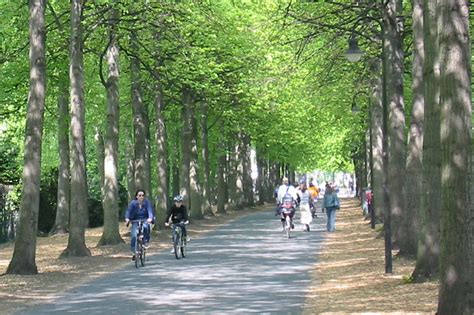 Erg Nzungsexkursion Auf Dem Rad Durch M Nster