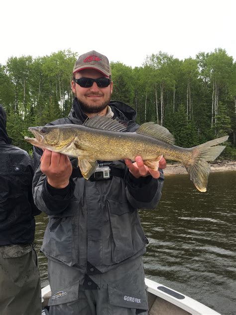 Water management policies affect walleye spawning habitat – Fish ...