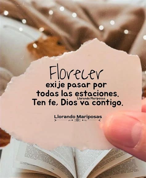 Pin de Confía en Dios en Llorando Mariposas Frases cristianas