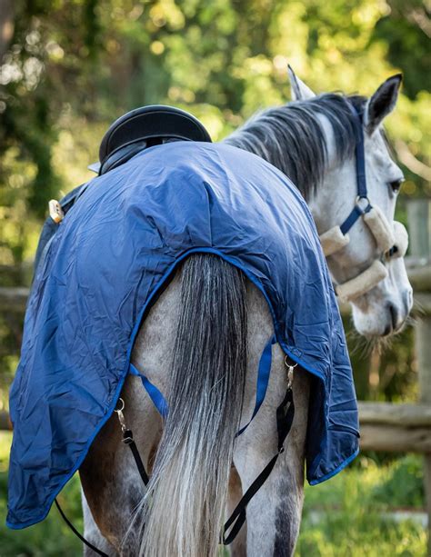 Waterproof Horse Blankets | Waterproof Quarter Sheet- Creature Comforts