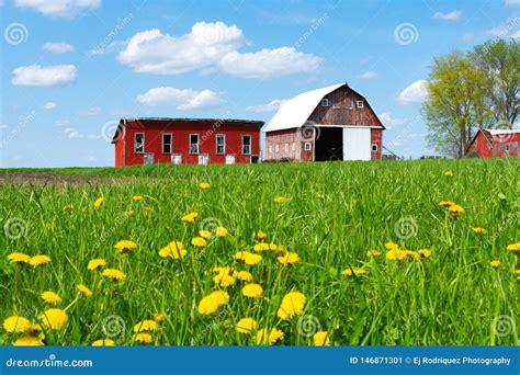 Farm In Open Grass Field Stock Image Image Of Environment 146871301