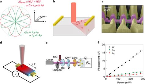 Symmetry And Photocurrent Generation A Polarization Dependence Of