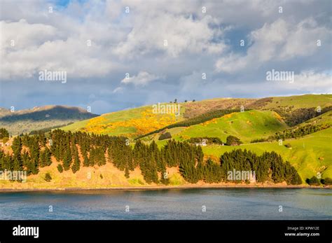 New Zealand Otago Region Scenic Coastline Landscape Stock Photo Alamy